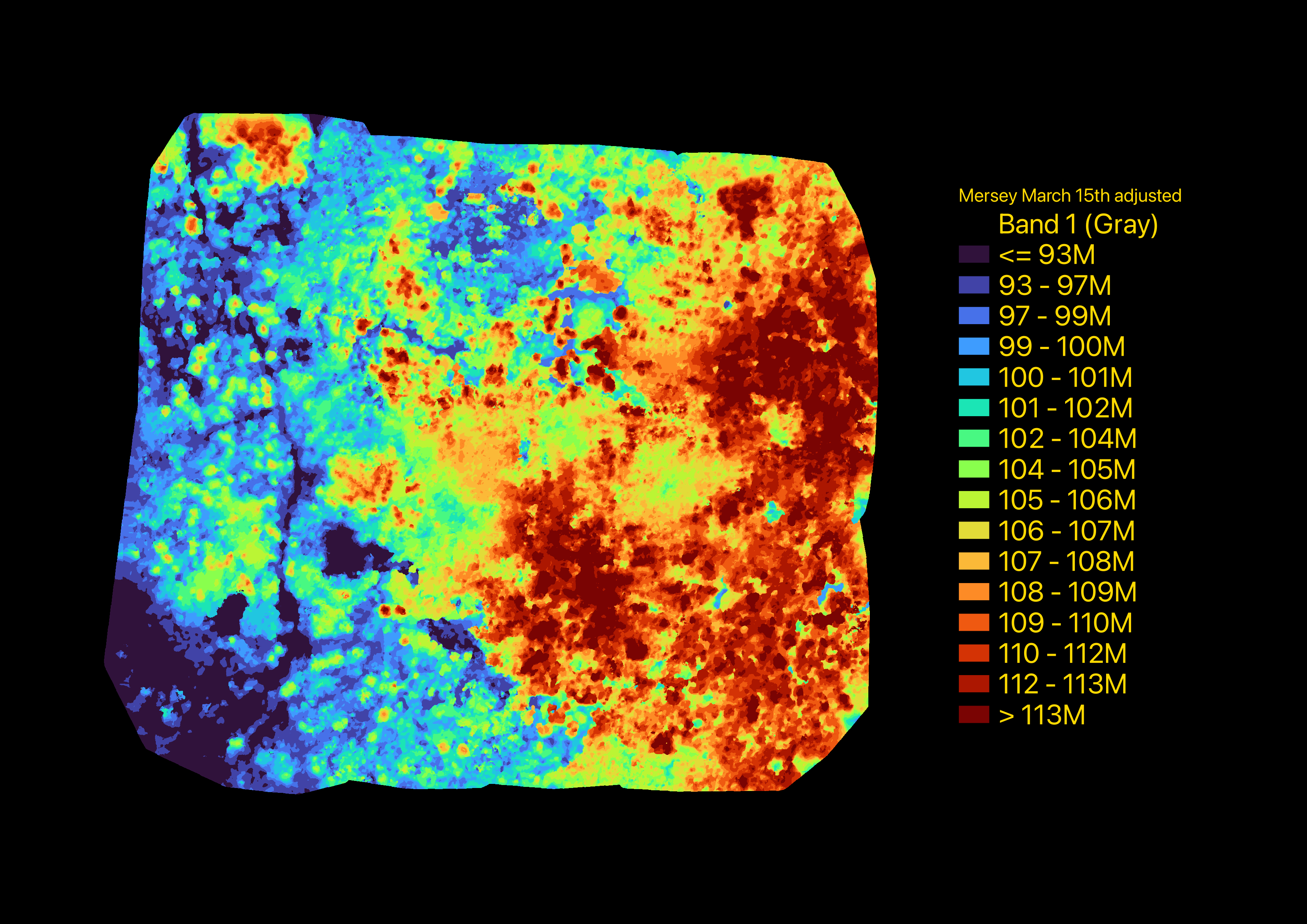 Canopy height map of a forest